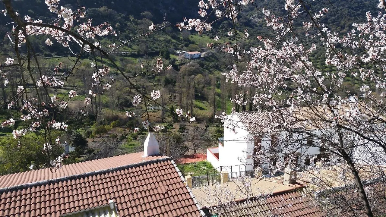 Benamahoma Rural Apartment Spain
